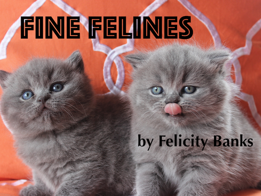 Cover art for Fine Felines