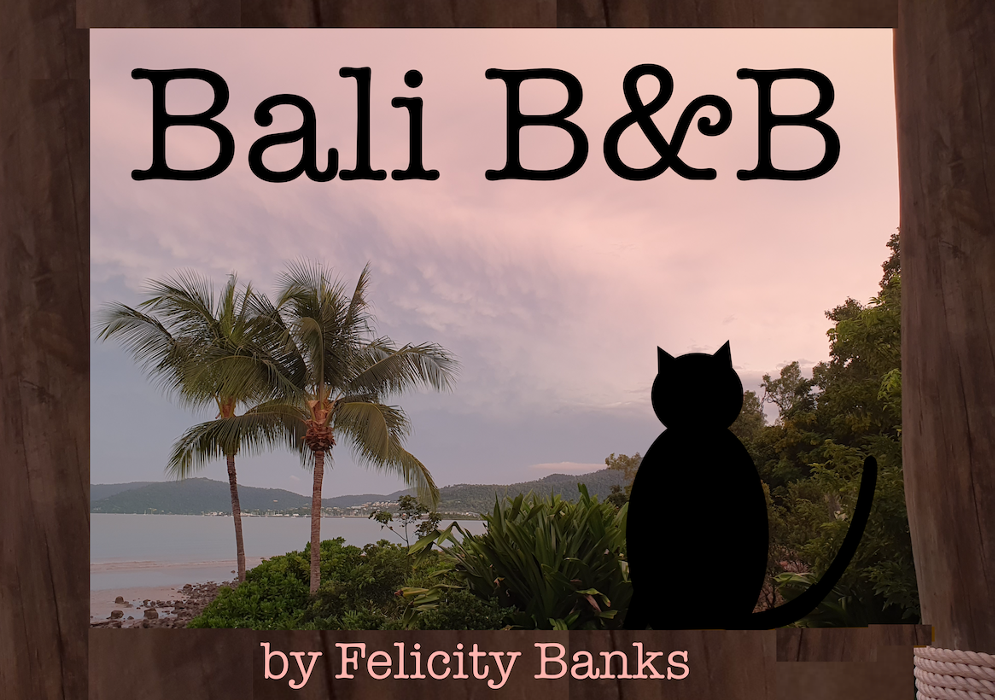 Cover art for Bali B&B